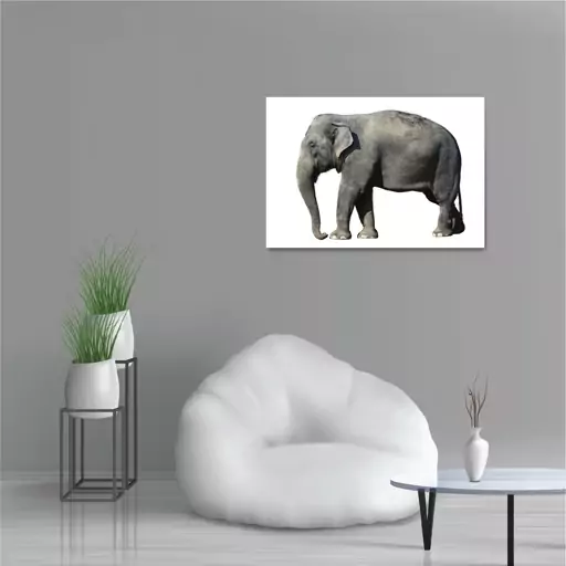 تابلو شاسی طرح حیوانات - فیل با زمینه سفید Elefant White Background مدل NV0910