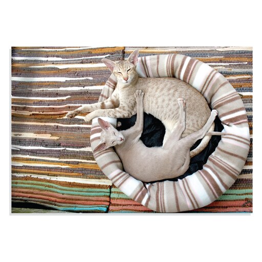 تابلو شاسی طرح حیوانات - زوج گربه در خواب Siamese Cat Couple Lie مدل NV0905