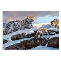 تابلو شاسی طرح حیوانات خانواده پلنگ های برفی Snow Leopard Family مدل NV0930
