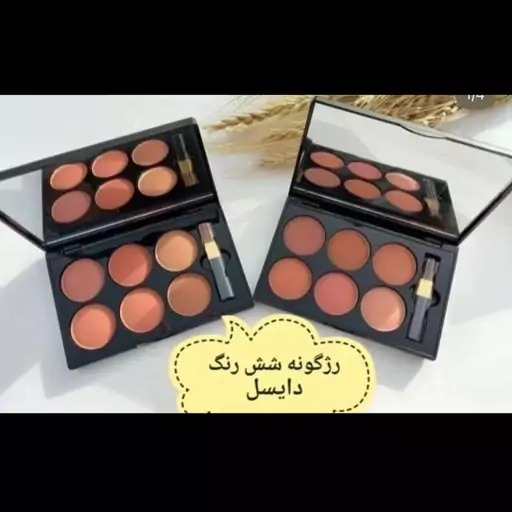 پالت رژگونه دایسل Deycill Blusher Palette Professional Make up دارای 6 رنگ پرکاربرد 