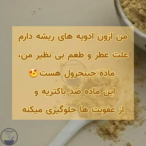 پودر زنجبیل اعلا دارچینا (100 گرم)