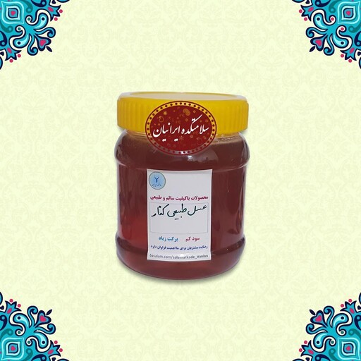 عسل طبیعی کنار جنوب ( سدر ) 460 گرم خالص 500 گرم با ظرف غرفه سلامتکده ایرانیان