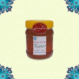 عسل طبیعی مرکبات شمال 460 گرم با ظرف 500 گرم غرفه سلامتکده ایرانیان