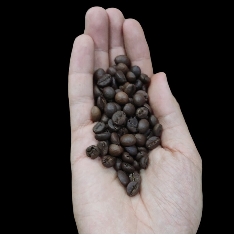 دانه قهوه روبوستا اندونزی رست مدیوم بسته 500 گرمی