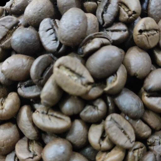 دانه قهوه روبوستا اندونزی رست مدیوم بسته 1 کیلوگرمی