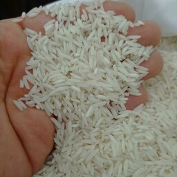 برنج ایرانی  شیرودی      هزینه ارسال با مشتری  (10کیلویی)