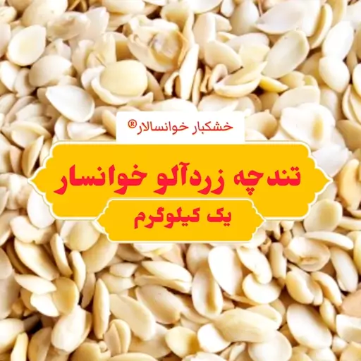 تندچه زردآلو ( لب لبو ) خوانسار ( یک کیلوگرم) خشکبار خوانسالار