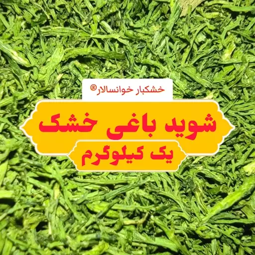 شوید خشک  باغی خوانساری بدون چوب ( یک کیلوگرم) خشکبار خوانسالار