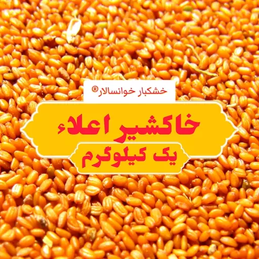 خاکشیر درجه یک پاک شده ( یک کیلوگرم) خشکبار خوانسالار