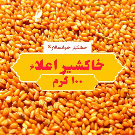 خاکشیر درجه یک پاک شده ( 100 گرم) خشکبار خوانسالار