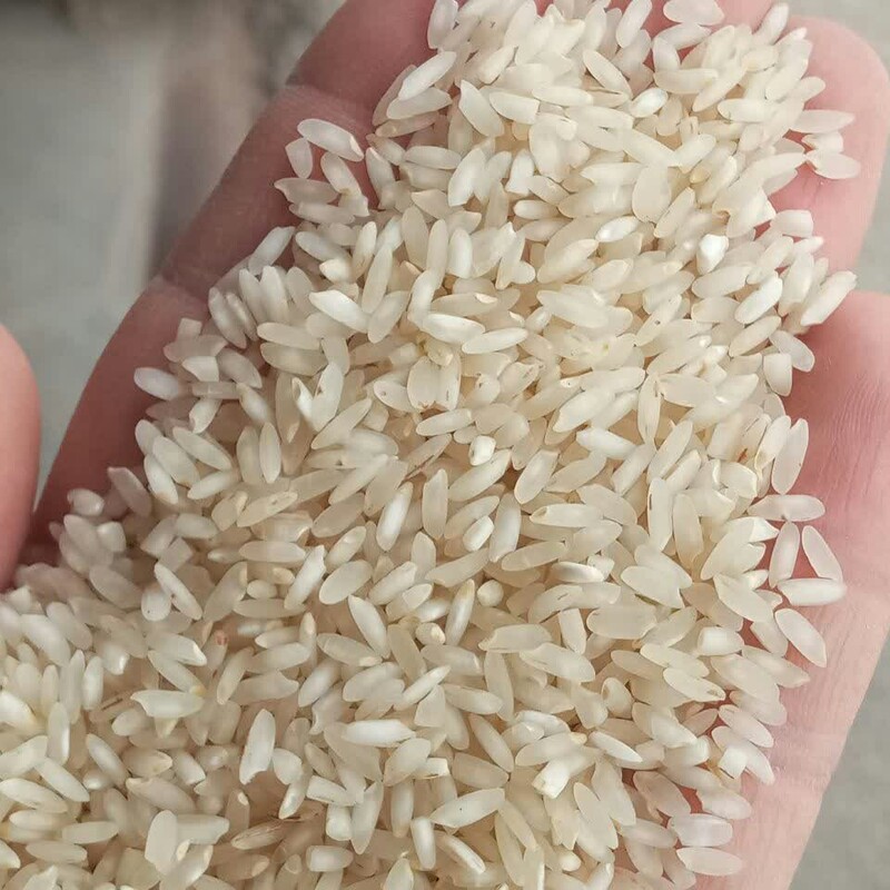 برنج عنبربو جنوب (خوزستان) درجه 1   امساله صد در صد ایرانی و خالص  ( 10 کیلویی )