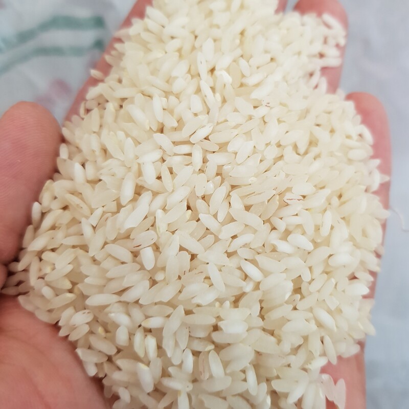 برنج عنبربو رحمت فوق ممتاز(10 کیلو)