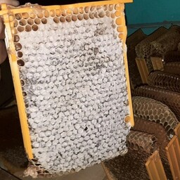 عسل طبیعی با موم خودبافت 