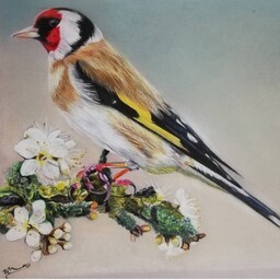 نقاشی پرنده