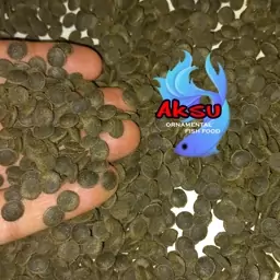 غذای ماهی ویفر قرصی اسپیرولینا غذای ماهی پلکو 250 گرمی