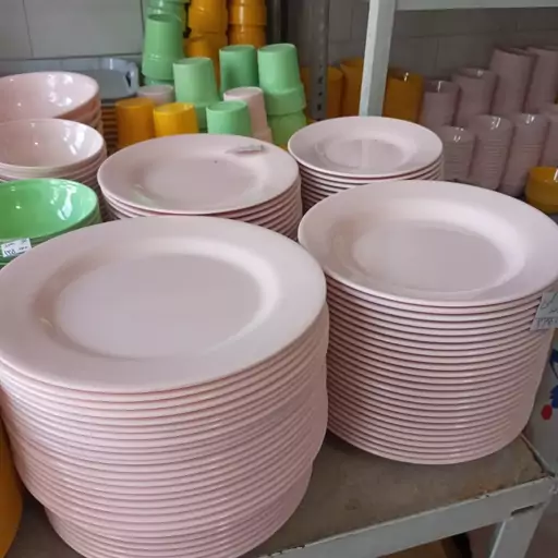 Used restaurant 2025 plates for sale