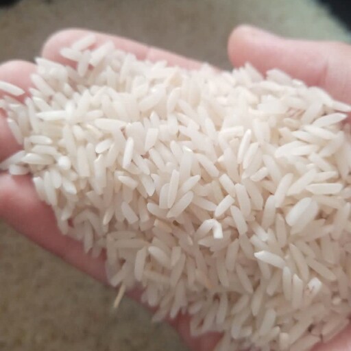 برنج محلی آستانه اشرفیه