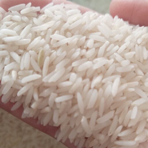 برنج محلی آستانه اشرفیه