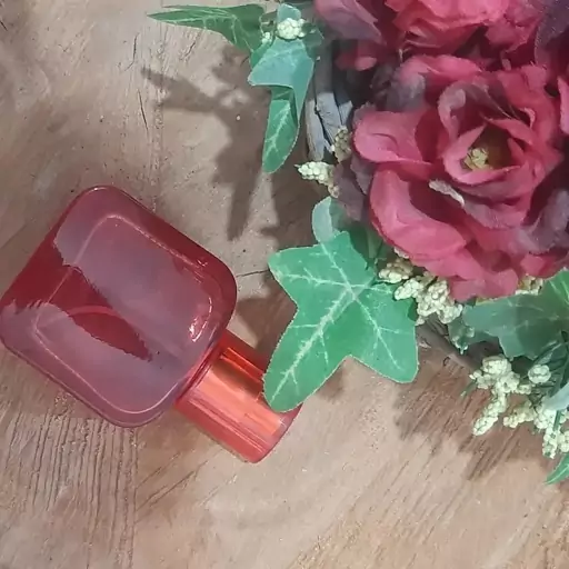 عطر شالیز مردانه اسپری افشان (ده گرمی)