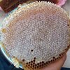 عسل طبیعی انگبین کردستان