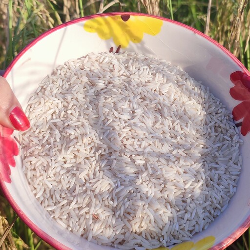 برنج هاشمی گیلان  20 کیلویی برنج هاشمی درجه یک گیلان برنج هاشمی بیست کیلویی برنج درجه یک هاشمی برنج ایرانی برنج گیلان