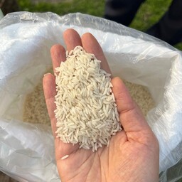 برنج هاشمی گیلان  20 کیلویی برنج هاشمی درجه یک گیلان برنج هاشمی بیست کیلویی برنج درجه یک هاشمی برنج ایرانی برنج گیلان