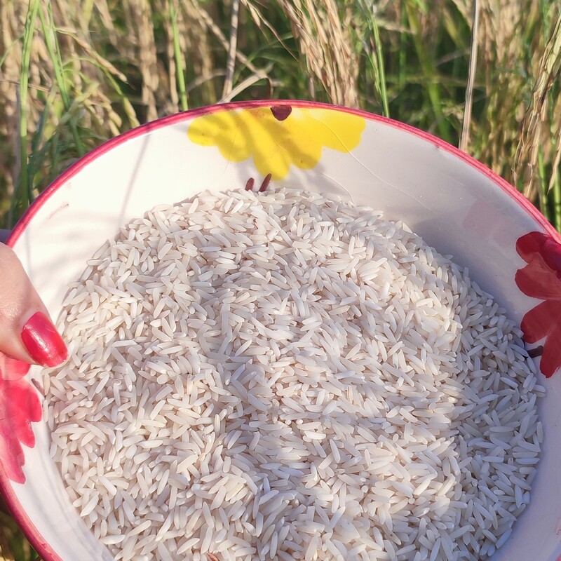 برنج هاشمی گیلان ده کیلویی برنج هاشمی برنج هاشمی 10 کیلویی برنج درجه یک هاشمی گیلان برنج طارم برنج ایرانی برنج گیلان