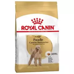 غذای خشک سگ رویال کنین مدل Royal canin poodle adult وزن 3 کیلوگرم 