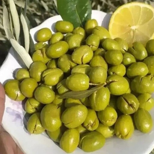 زیتون شکسته سنتی درشت کاملا طبیعی(3 کیلویی)