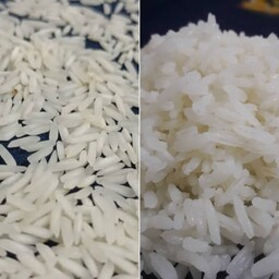 برنج صدری هاشمی  فریدونکنار ده کیلویی  ارسال رایگان 