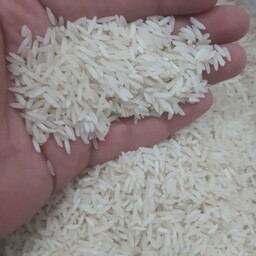 برنج  طارم هاشمی فومن