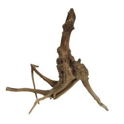 چوب تزیینی آبنوس مخصوص آکواریوم مدل ریشه مانگرو کد 10