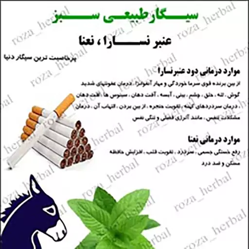 سیگار عنبر نسارا  نعنا (بسته  100 عددی همراه 1 اشانتیون)