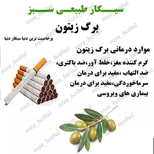 سیگار  طبیعی برگ زیتون (بسته  100 عددی همراه 1 اشانتیون)