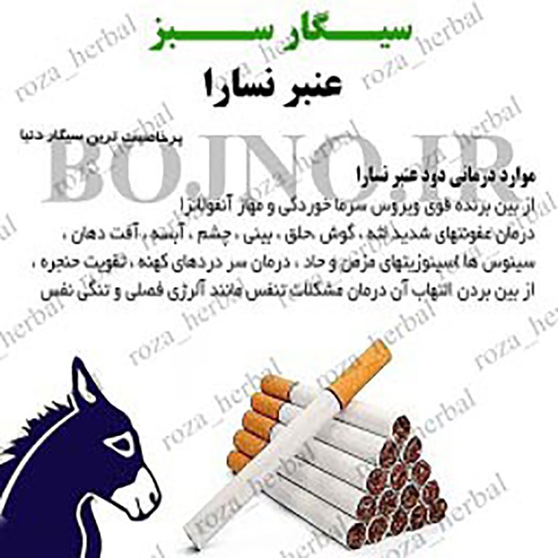 سیگار عنبر نسارا (بسته 100 عددی همراه 1 شانتیون)