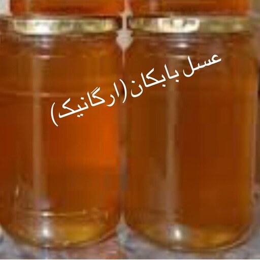 عسل بابکان طبیعی و ارگانیک با بسته بندی در وزن های نیم کیلو 