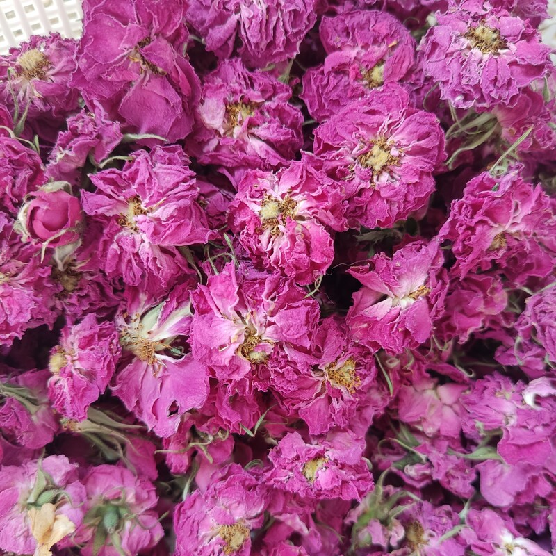 گل محمدی خشک بسته 100 گرمی در سایه خشک شده 
