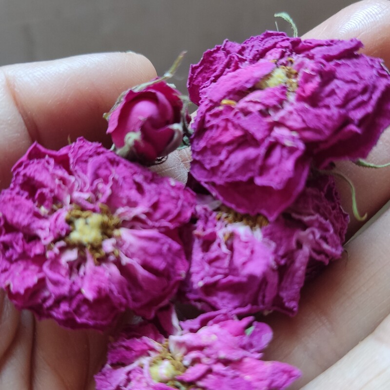 گل محمدی خشک بسته 100 گرمی در سایه خشک شده 