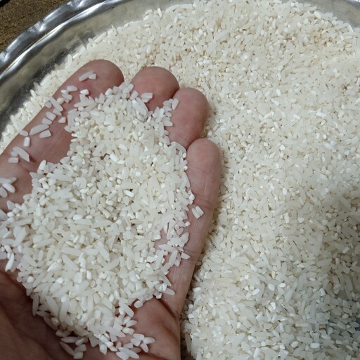 برنج نیمدانه طارم هاشمی ارسال رایگان  