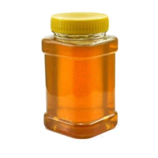 عسل سبلان بدون موم یک کیلویی بسته دو عددی (هزینه ارسال ، پس کرایه)