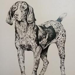 نقاشی سیاه قلم سگ همراه با قاب