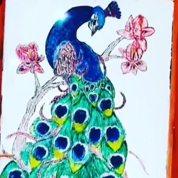 تابلو نقاشی رنگ روغن طاووس زیبا                        اندازه20در40