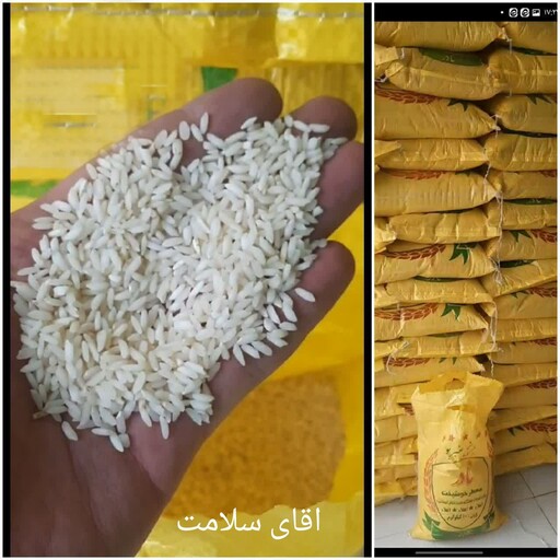 برنج عنبربوی نادر ایرانی وخوش پخت 10کیلویی امسالی ارسال رایگان در اصفهان