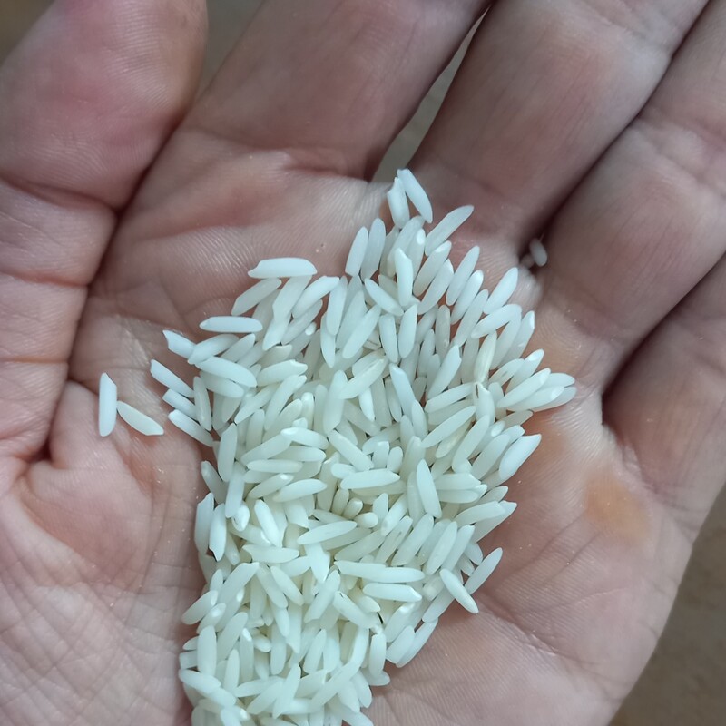 برنج هاشمی اصل گیلان خوش پخت و خوش عطر 