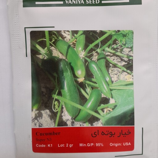 بذر خیار بوته ای آمریکایی شرکت آذر سبزینه  کد محصول k1  درصد جوانه زنی 95درصد