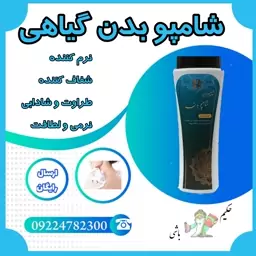 شامپو بدن گیاهی 2 عددی  ( نرم کننده - شفاف کننده - طراوت و شادابی پوست - نرمی و لطافت ) 