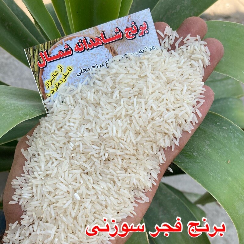 برنج  فجر سوزنی گرگان  (بوجاری  و بسته بندی   برنج قبل  ارسال برای شما) کیسه های 10 کیلویی 72000