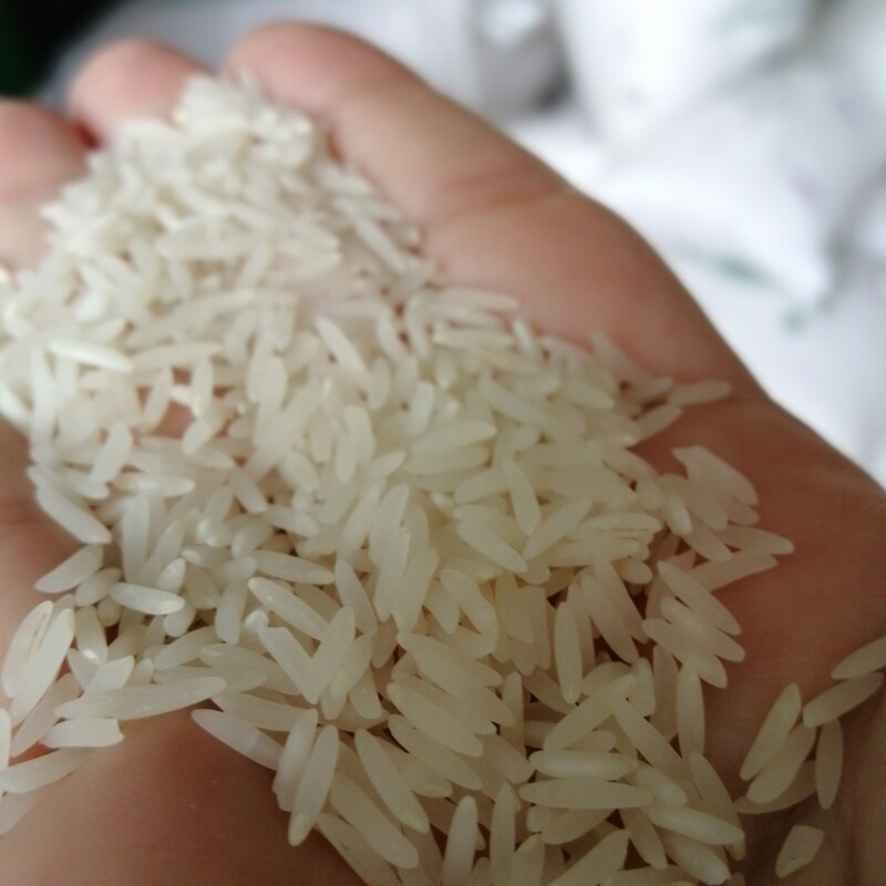 برنج فجر سوزنی خوش طعم و عطر  تضمین کیفیت  قیمت مناسب   یکدست و سالم. محصول روستا  کیلویی 68 تومن  بسته های 10 کیلویی