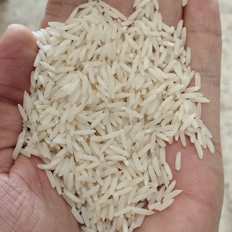 برنج کشت دوم هاشمی اعلا (10کیلویی)