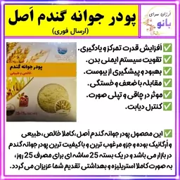 پودر جوانه گندم 25 ساشه ای،پودرجوانه گندم،جوانه گندم،خالص،طبیعی با کیفیت عالی(اِرسال فوری)